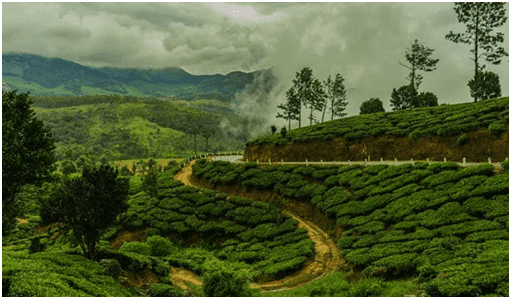 munnar