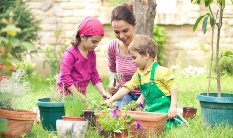 gardening