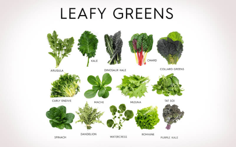 Leafy Vegetables