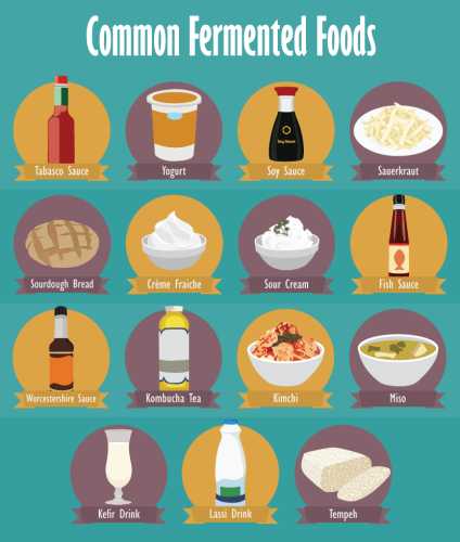 fermented food