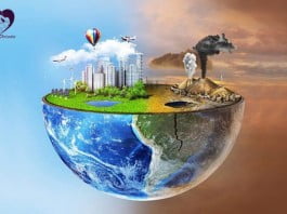 Environment