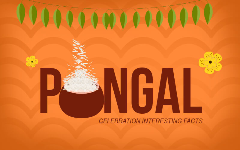Pongal - Interesting Facts