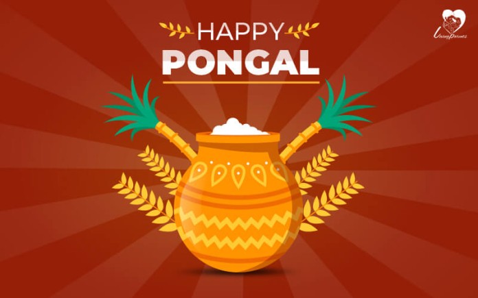 Pongal