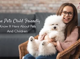 Pets And Children