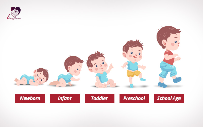 What Are The Different Stages Of Child Development - Design Talk